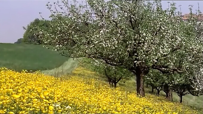 Skolepiger Fra 1977: Den Fulde Film