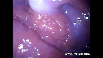 Girl Gets Extreme Orgasm Filmed In Her Wet Vagina